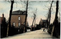 Neerpelt Weg Op Overpelt Circulée En 1909 - Neerpelt