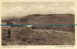 R648244 Newtimber Hill From Devil Dyke. Photochrom. The Sussex Downs. Series. Se - World