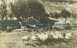 R648271 Baluchistan. A Pastoral Scene. R. W. Rai - World