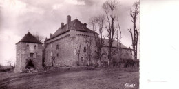 Cpm Cpsm Chaudes Aigues Ancien Chateau Féodal - Autres & Non Classés