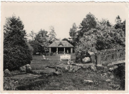 Hoogboom - Maison De Repos Welvaart - Sonstige & Ohne Zuordnung