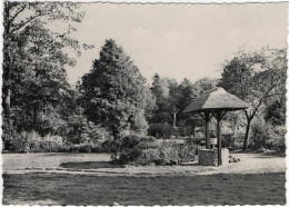 Hoogboom - Maison De Repos Welvaart - Sonstige & Ohne Zuordnung