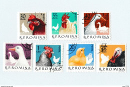 Roumanie Lot De 29 Timbres Les Volatiles De La Ferme - Canard, Poule, Dindon, Poussin, Coq, Chevaux, Chats Et Chiens - Gebruikt