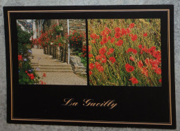 56 Morbihan CPM La Gacilly La Ville Des Fleurs Et Des Parfums - La Gacilly