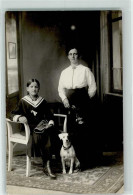 39282431 - Glatthaar Familienfoto - Perros