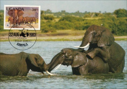 A40 438 Carte Maximum Elephant Elefant Elefante Olifant Norsu WWF - Elephants