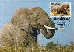 A40 439b Carte Maximum Elephant Elefant Elefante Olifant Norsu WWF - Altri & Non Classificati