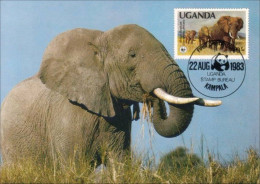 A40 439a Carte Maximum Elephant Elefant Elefante Olifant Norsu WWF - Elephants