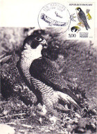 A40 308 Carte Maximum Faucon Pelerin Peregrine Falcon - Uccelli