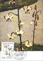 A40 290 Carte Maximum Fleur Lis Martagon - Other & Unclassified