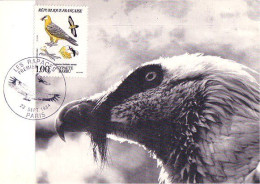 A40 306 Carte Maximum Aigle Gypaete Barbu Eagle - Uccelli