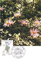 A40 291 Carte Maximum Fleur Aster - Autres & Non Classés