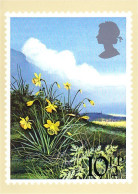 A40 143 CP Daffodils Jonquilles - Autres & Non Classés