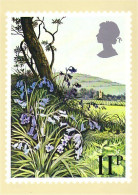 A40 144 CP Bluebells Clochettes - Other & Unclassified