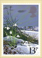 A40 145 CP Snowdrops Perce-neige - Autres & Non Classés