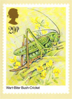 A40 137 CP Wart-Biter Cricket - Andere & Zonder Classificatie