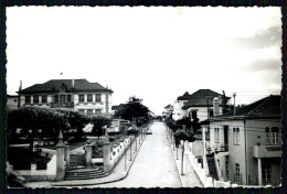 FUNDÃO- Avenida Dr. Adolfo Portela.( Ed. Da Livraria E Papelaria Marques)  Carte Postale - Castelo Branco