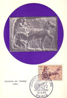 A40 12 Carte Maximum Bas-relief Journée Du Timbre 1963 - Paarden