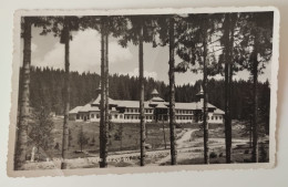 ROMANIA 1936 STANA DE VALE ELEVATION 1120M (BIHOR COUNTY), COTTAGE, ARCHITECTURE, FOREST - Romania