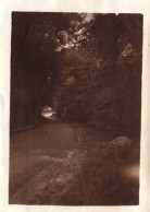 Thomery - Photo Ancienne - Route Du Village - 1934 - 6,5x9cm - Otros & Sin Clasificación