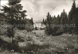 71967826 Notschrei Waldhotel Notschrei - Todtnau