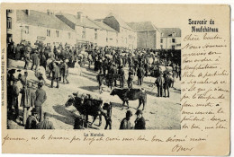 Souvenir De Neufchâteau Le Marché Circulée En 1901 - Neufchâteau