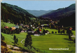 10004031 - Menzenschwand - St. Blasien