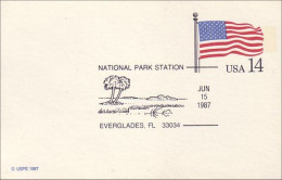 A42 99 USA Postcard USA Flag Everglades FL FDC - Sonstige & Ohne Zuordnung