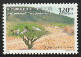 DJIBOUTI - N°719X ** (1997) Scène De Vie - Djibouti (1977-...)