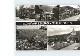 71965957 Schwarzburg Thueringer Wald Pferdekutsche Schweizer Haus  Schwarzburg - Andere & Zonder Classificatie