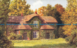 R648381 Kew Gardens. The Queen Cottage. J. Salmon. C. T. Howard - World