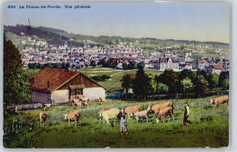 50605531 - La Chaux-de-Fonds Valanvron - Autres & Non Classés