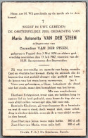 Bidprentje Poppel - Van Der Steen Maria Antonetta (1876-1947) - Images Religieuses