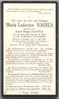 Bidprentje Rumst - Nagels Maria Ludovica (1862-1940) - Devotion Images