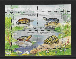 Russia 2017 MNH Fauna Of Russia - Turtles MS 8399 - Ongebruikt