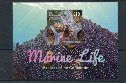 St Vincent (Bequia) - 2015 - Mollusks - Yv ??? - Marine Life