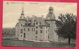 C.P. Dalhem =  Château - Dalhem