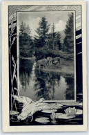 50919531 - Jugenstil Verziert - Werbepostkarten