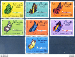 Fauna. Farfalle 1961. - Somalia (1960-...)