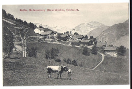 DALIN Heinzenberg: Bauer Mit Stier Vor Dorf ~1910 - Other & Unclassified