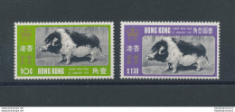 1971 HONG KONG, Michel N° 253-54 , Chinese New Year , 2 Values , MNH** - Other & Unclassified
