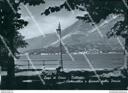 Cc567 Bozza Fotografica Lago Di Como Bellagio Cadenabbia E Griante Della Pancia - Como