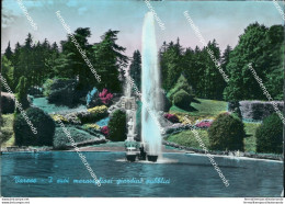 Cd17 Cartolina Varese I Suoi Meravigliosi Giardini Pubblici - Andere & Zonder Classificatie