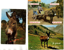 Lot De 3 CP. Anes (Humour). - Donkeys