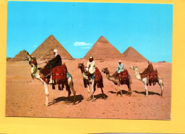 Arab Camelriders In Front Of The Pyramids  Chameaux Arabes Devant Les Pyramides  Egypte    ( 21736 ) - Piramiden