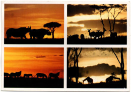 ANIMAUX. Vie Sauvage Africaine (Rhinocéros, Zèbre, Impala, Girafe Au Coucher Du Soleil). - Other & Unclassified