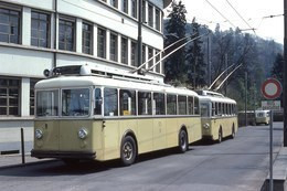 Trolleybus Berna   -   Thun-Bahnhof  En Suisse 1979  -  15x10cm PHOTO - Autobus & Pullman