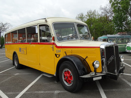 Ancien Autobus FBW AN40 Alpenwagen (Suisse)   -  15x10cms PHOTO - Buses & Coaches