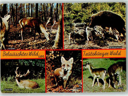 10230231 - Jagdtiere Hirsche Wildschweine Damwild Fuchs - Autres & Non Classés