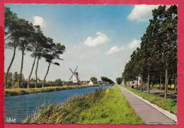 C.P.  Damme  = De  Molen  En  Kanaal  Brugge-Sluis - Damme